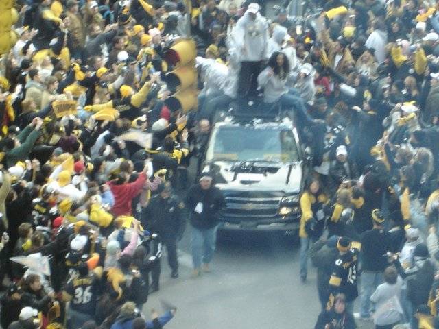 Polamalu1.jpg