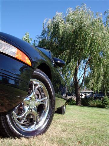porkys 025 (Small).jpg