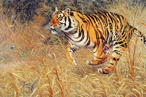 poster_galloping_tiger.jpg