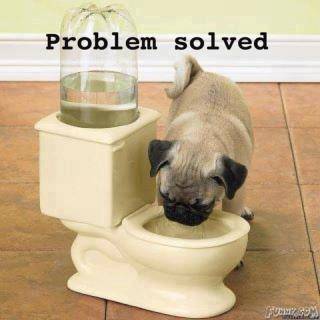 problem solved.jpg