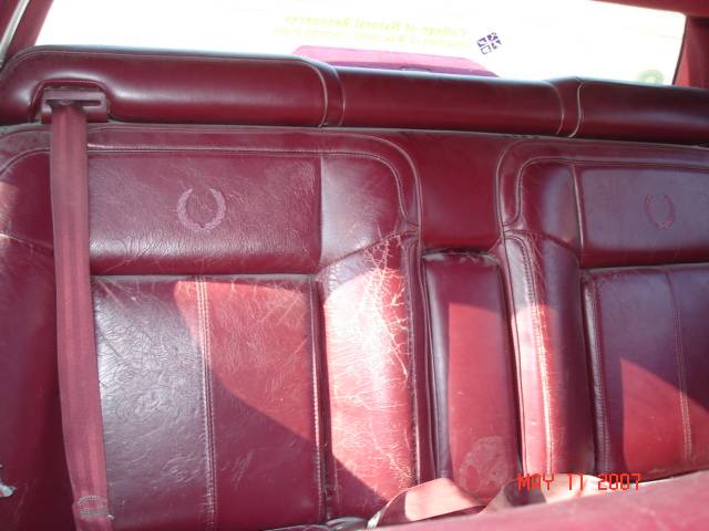 rear seats back.jpg