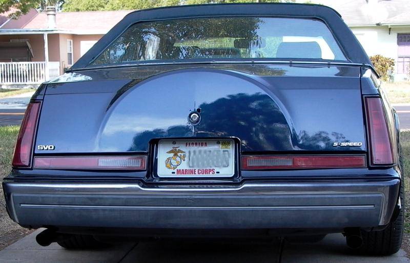 RearOrange1.jpg