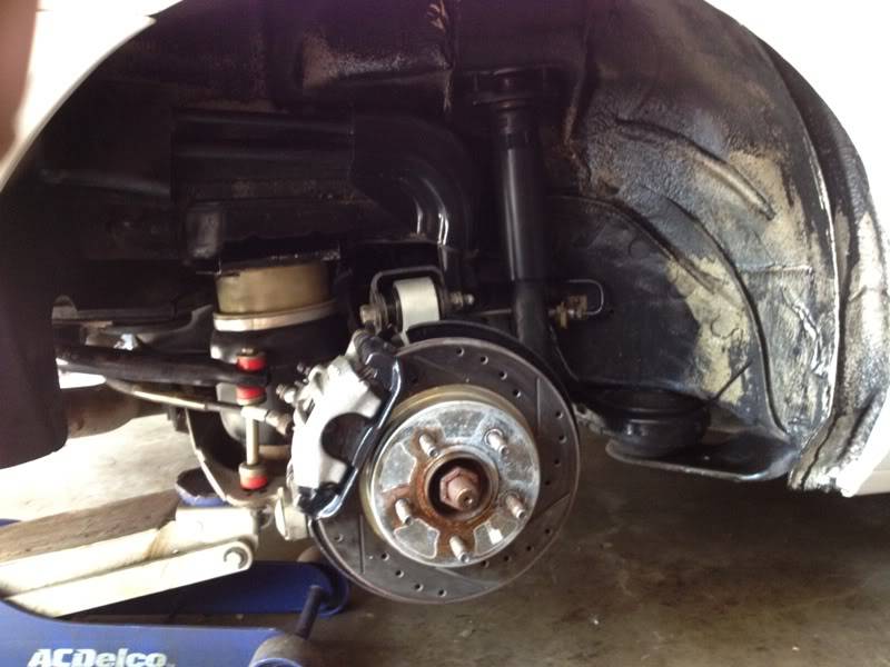 Rears.jpg