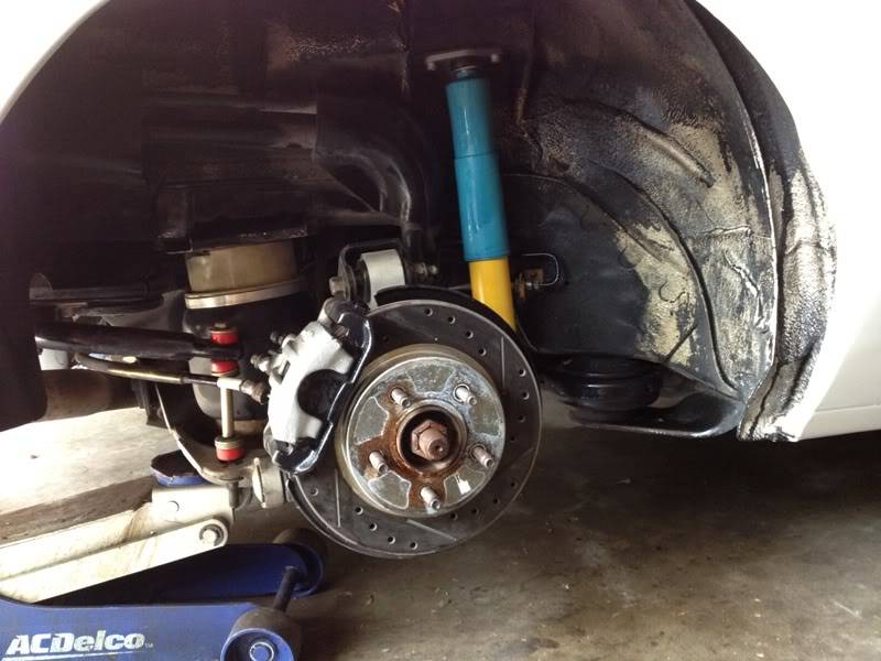 rears2.jpg