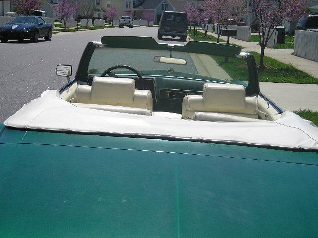 rearview.jpg
