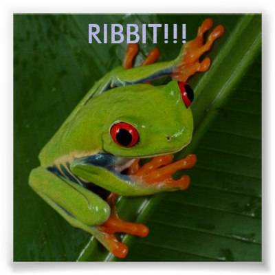 red_eye_tree_frog_ribbit_poster-p228951656965866252t5ta_400.jpg
