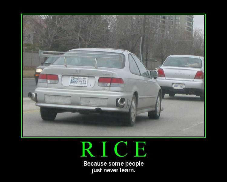 rice_zpsd6fdb402.jpg