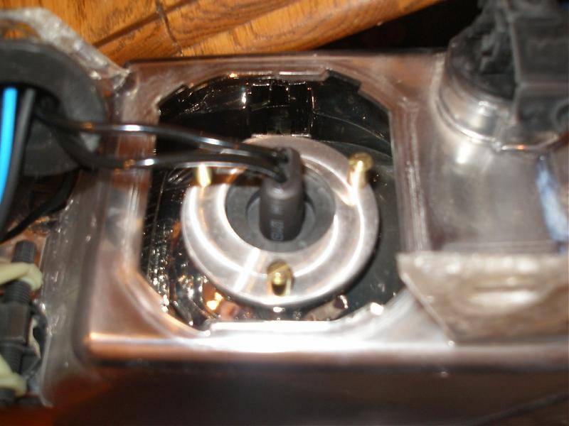 Ring and Bulb In.jpg