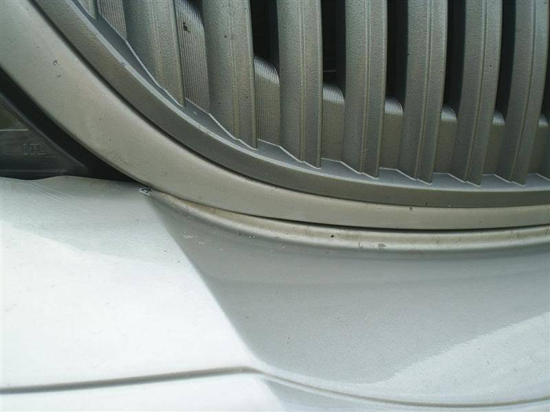 S4010183Medium.jpg