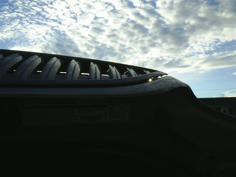 S4010202Medium.jpg