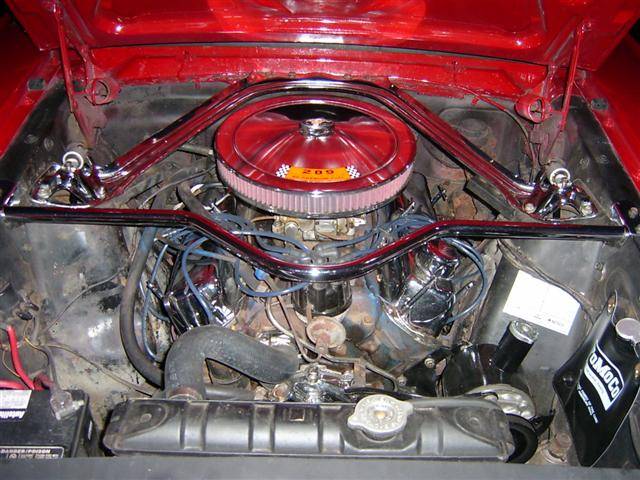 S4200038 (Small).JPG