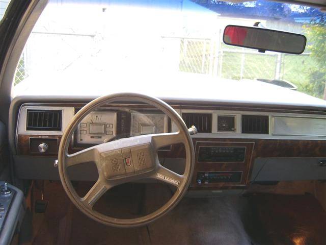 S4200444 (Small).JPG