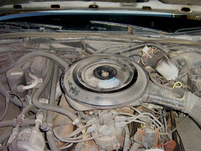 S4200446 (Small).JPG
