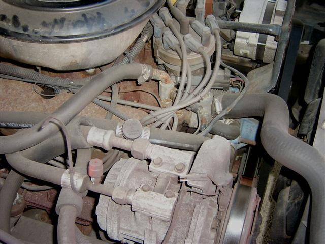 S4200449 (Small).JPG