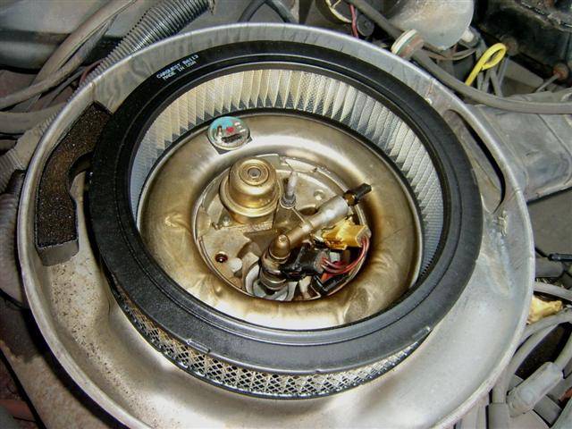 S4200453 (Small).JPG