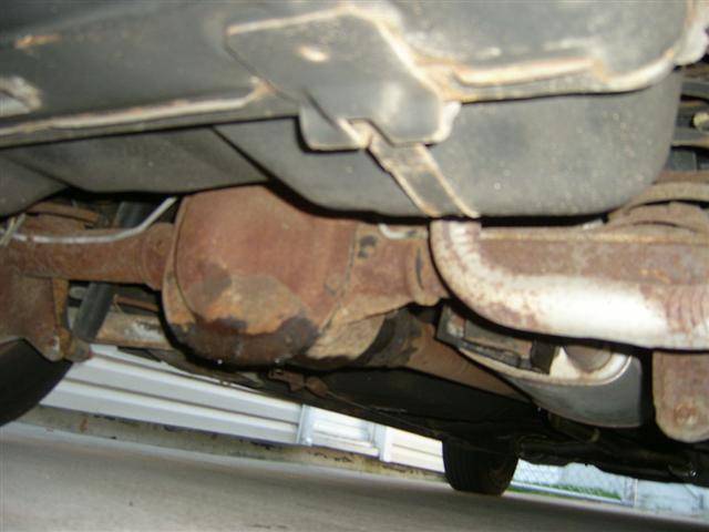 S4200455 (Small).JPG