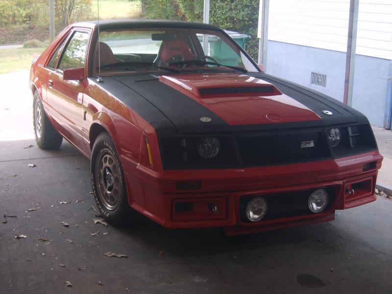 S8002705.jpg