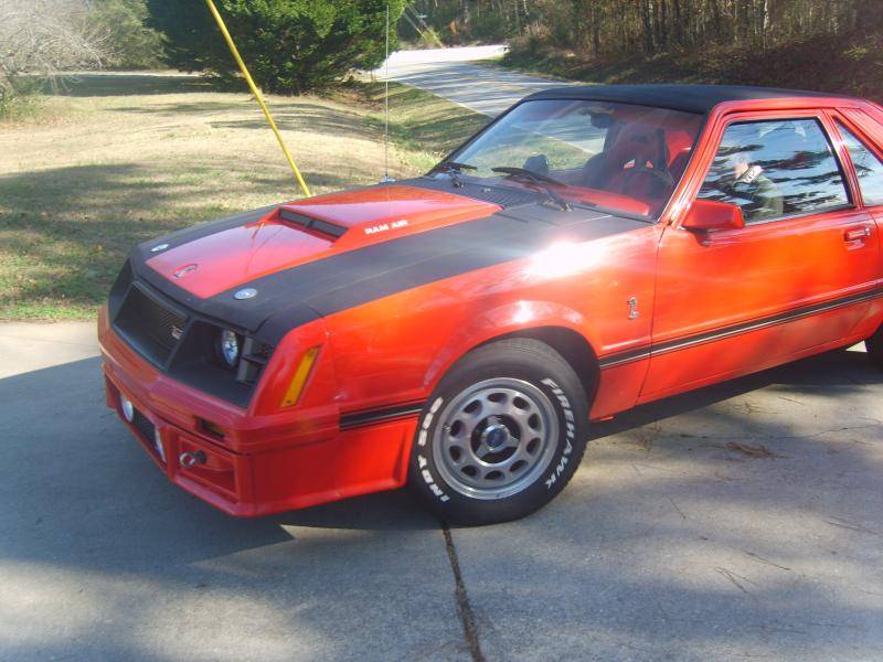 S8002826.jpg