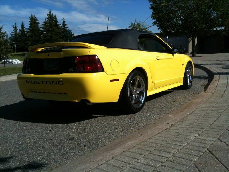 SaleenWheels013.jpg
