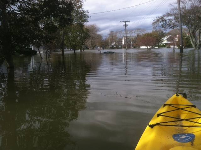sandy2.JPG