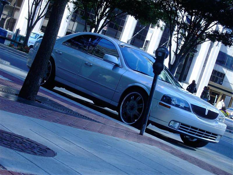 SANY0095 (Large).jpg