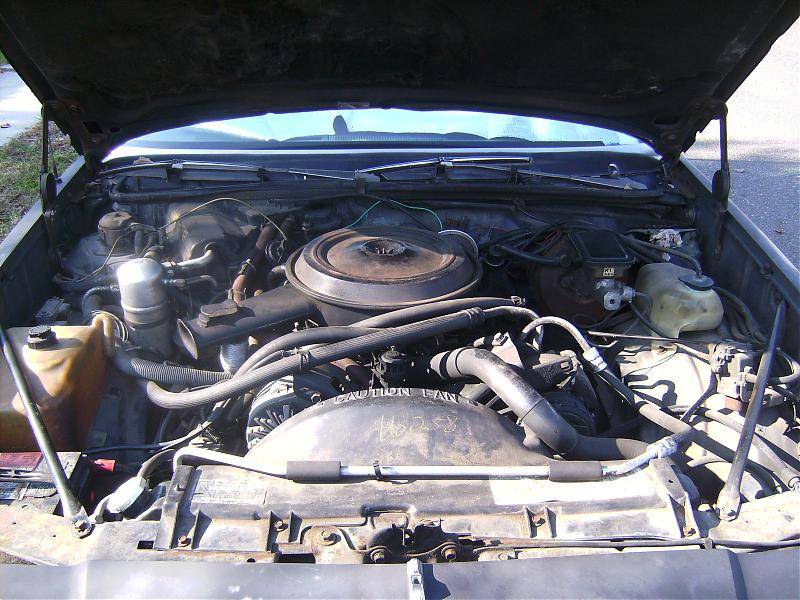 SANY0428.jpg