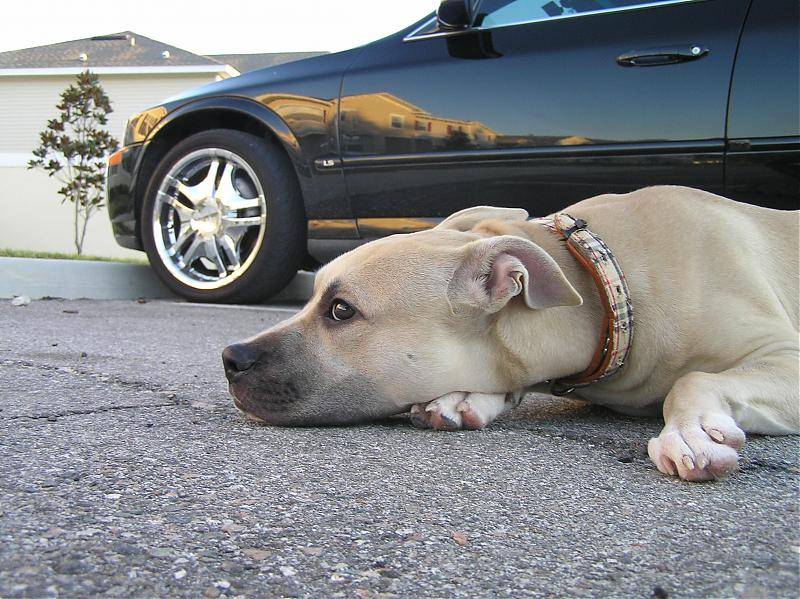 Sasha pics 019.jpg