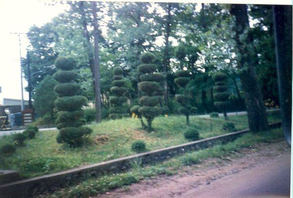 scan0003.jpg