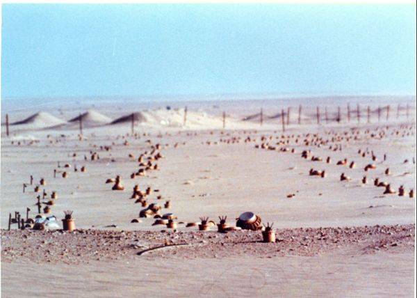 scan0007.jpg