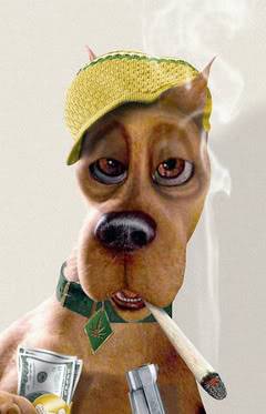 scooby.jpg