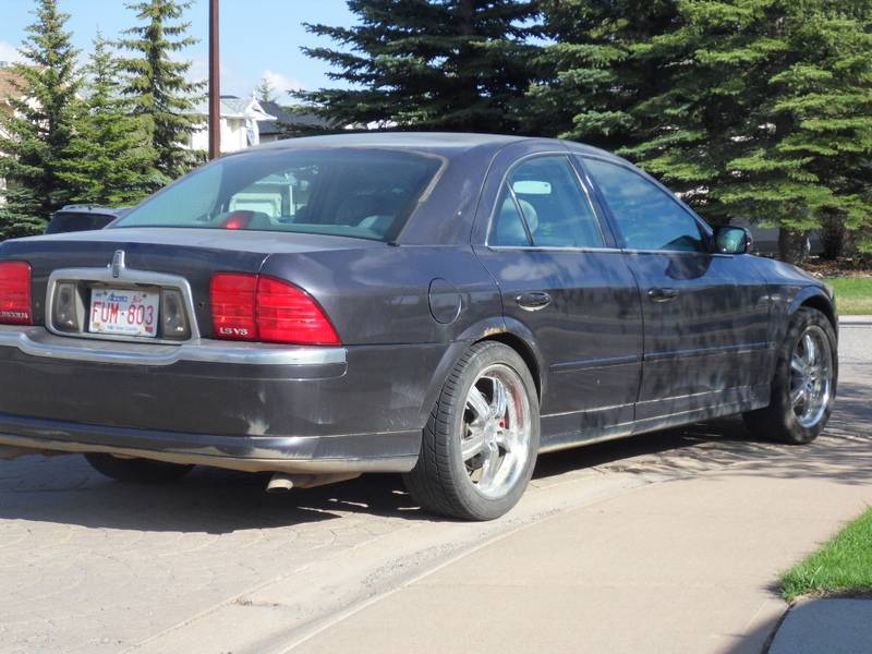 SDC10411.jpg