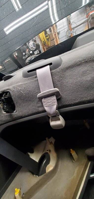 Seat belt.jpg