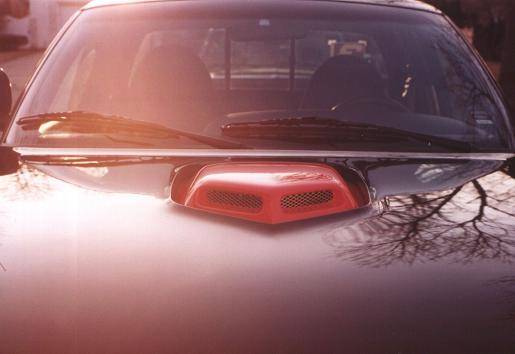 Shaker Closeup - 1200sm.jpg