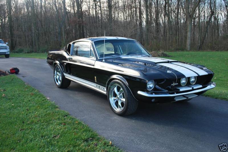shelby gt-500 9.jpg