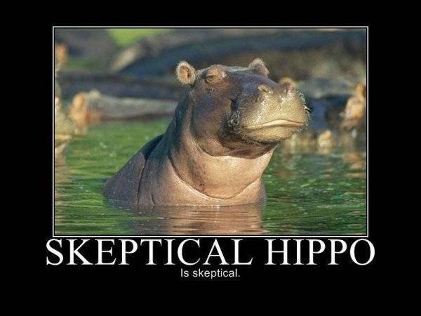 Skeptical_aa86df_348349.jpg