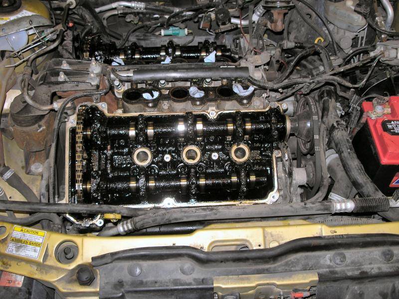 sluged oo v6 cougar 1.jpg