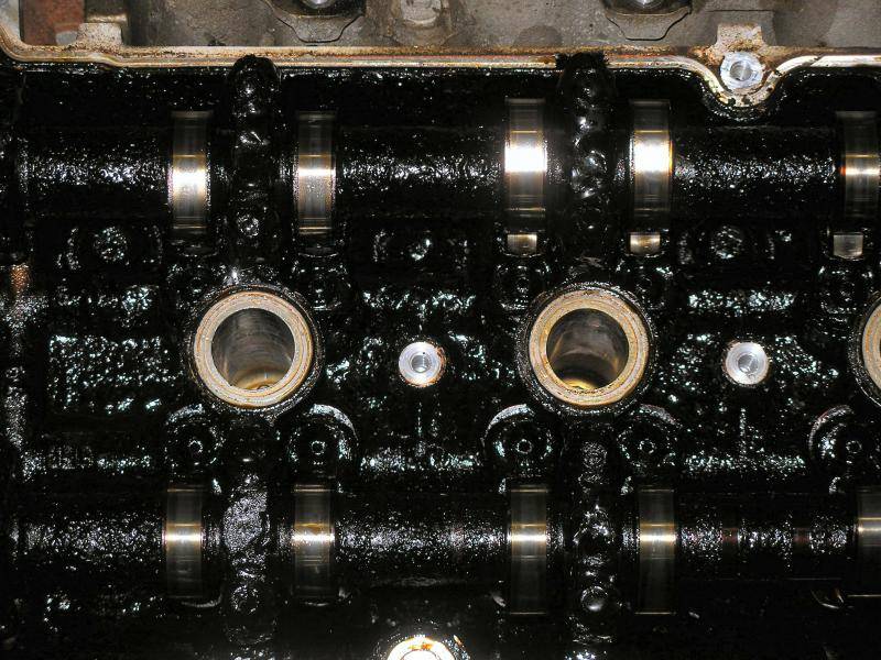 sluged oo v6 cougar 2.jpg