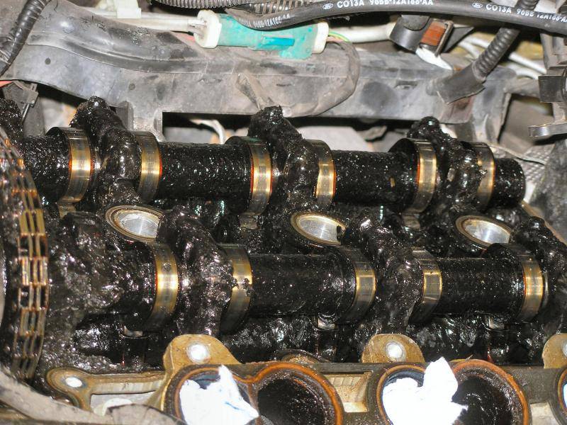 sluged oo v6 cougar 3.jpg