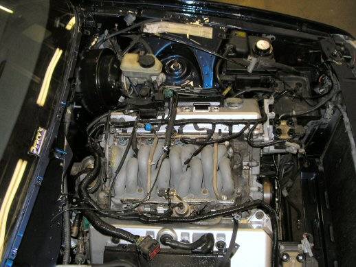 small 95 t bird dohc 23.jpg