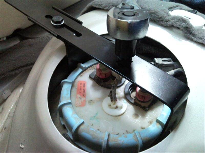 SNC00358 (Medium).jpg