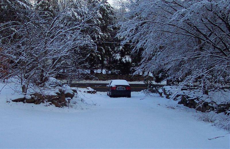 Snow LS.jpg