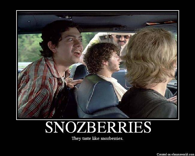 SNOZBERRIES.jpg