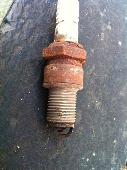 spark-plugs1.jpg