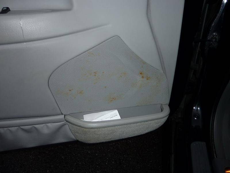 Speaker Grill.jpg