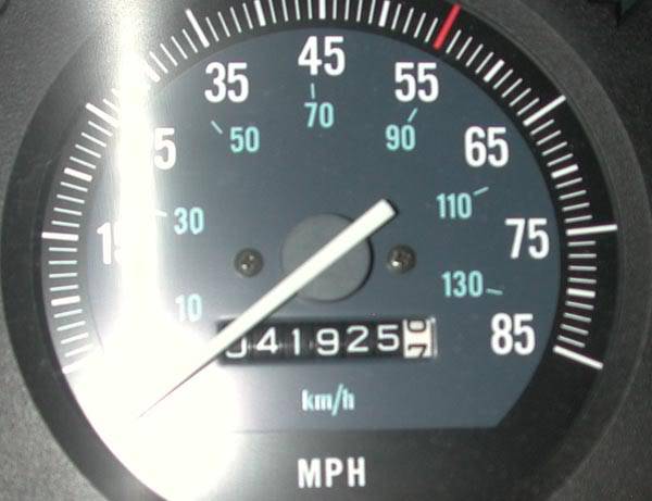 speedo1.jpg