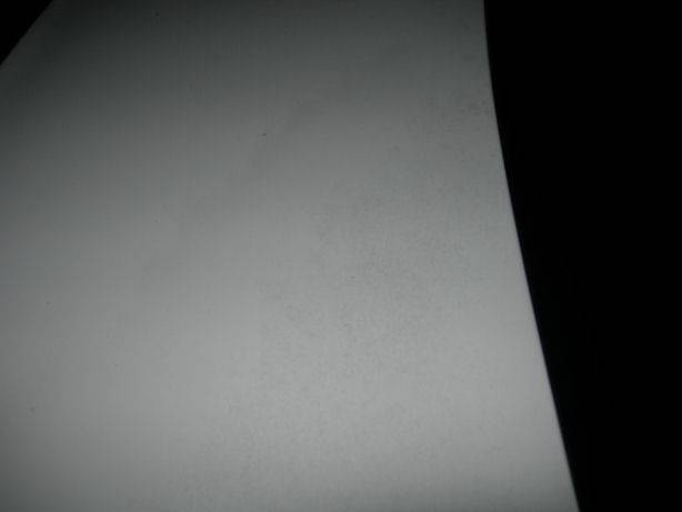 spots 3.jpg