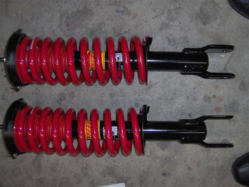 springs 001 (Medium).jpg