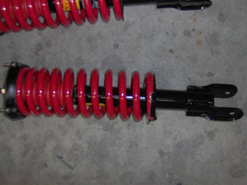 springs 003 (Medium).jpg