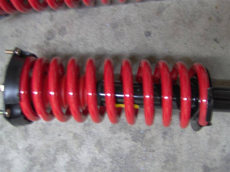 springs 004 (Medium).jpg