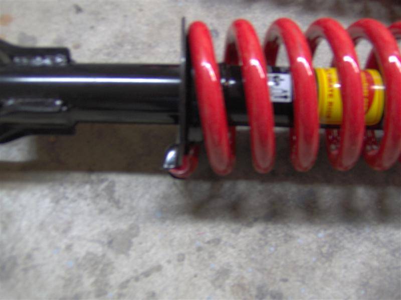 springs 005 (Medium).jpg